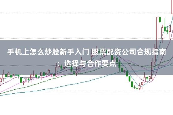 手机上怎么炒股新手入门 股票配资公司合规指南:选择与合作要点