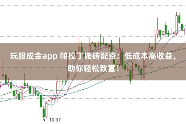 玩股成金app 帕拉丁搬砖配资:低成本高收益,助你轻松致富!