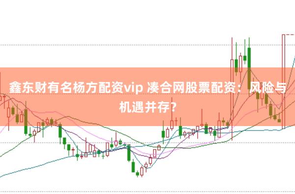 鑫东财有名杨方配资vip 凑合网股票配资:风险与机遇并存?