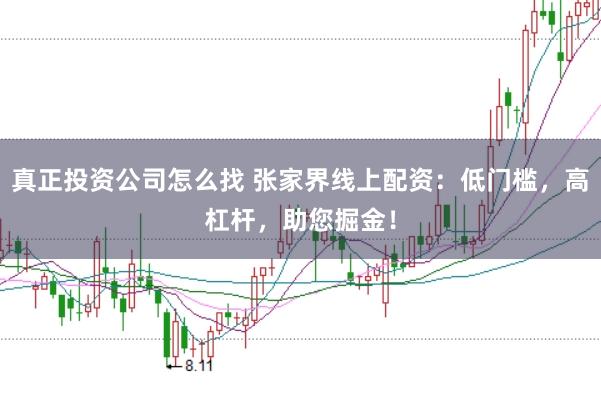 真正投资公司怎么找 张家界线上配资:低门槛,高杠杆,助您掘金!