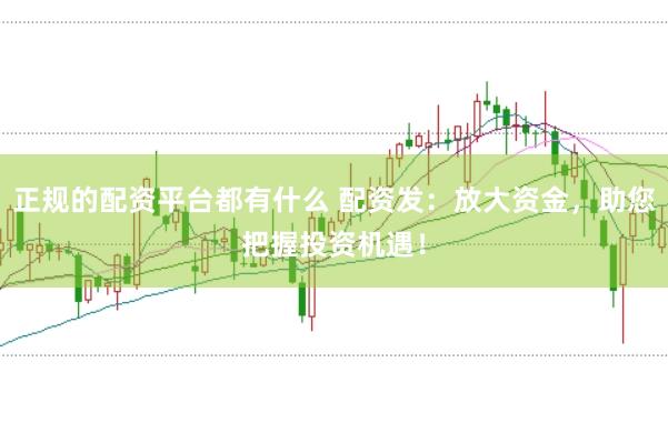正规的配资平台都有什么 配资发:放大资金,助您把握投资机遇!