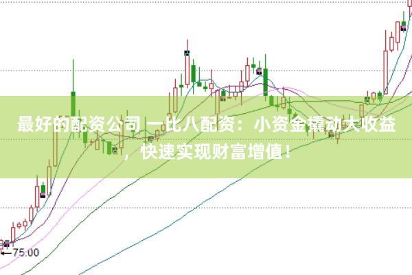 最好的配资公司 一比八配资:小资金撬动大收益,快速实现财富增值!