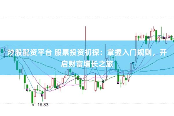 炒股配资平台 股票投资初探：掌握入门规则，开启财富增长之旅