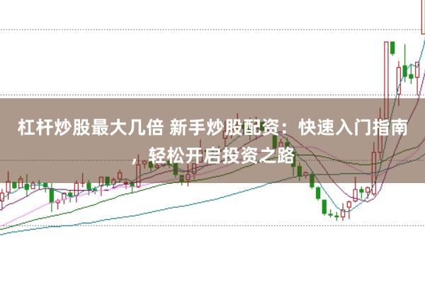 杠杆炒股最大几倍 新手炒股配资:快速入门指南,轻松开启投资之路